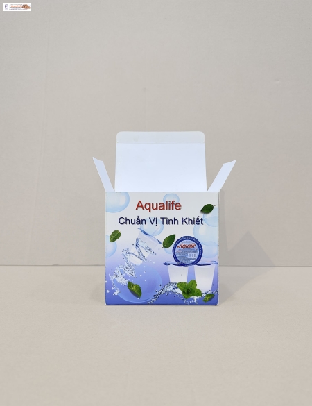 HCT0005 - Hộp giấy in offset đựng sản phẩm 