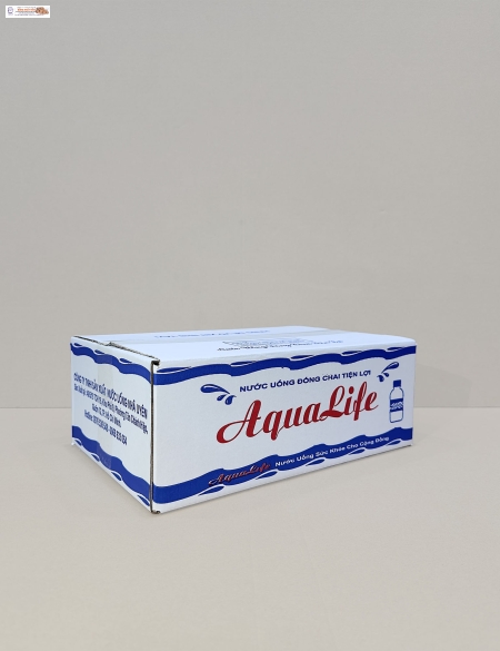 Thùng Carton 05