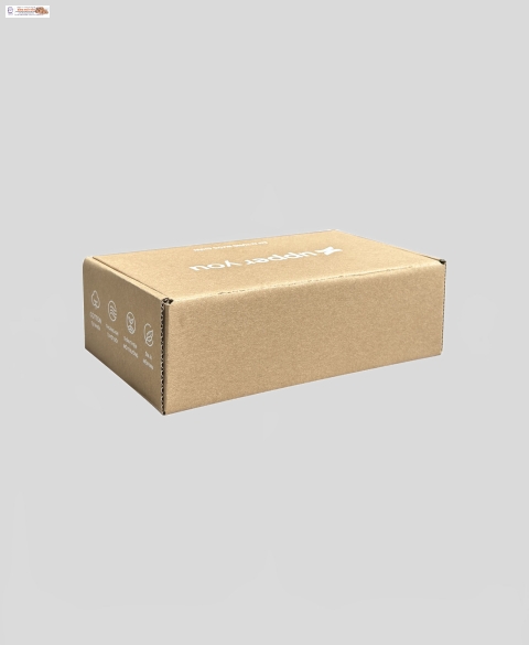 HCT0002 - Hộp Carton đựng sản phẩm 