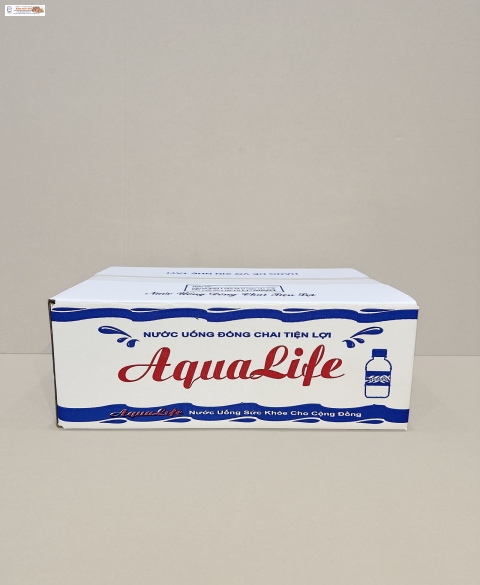 Thùng Carton 05